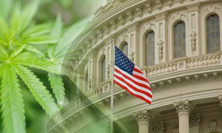New York State of Cannabis – Things You Should Know…