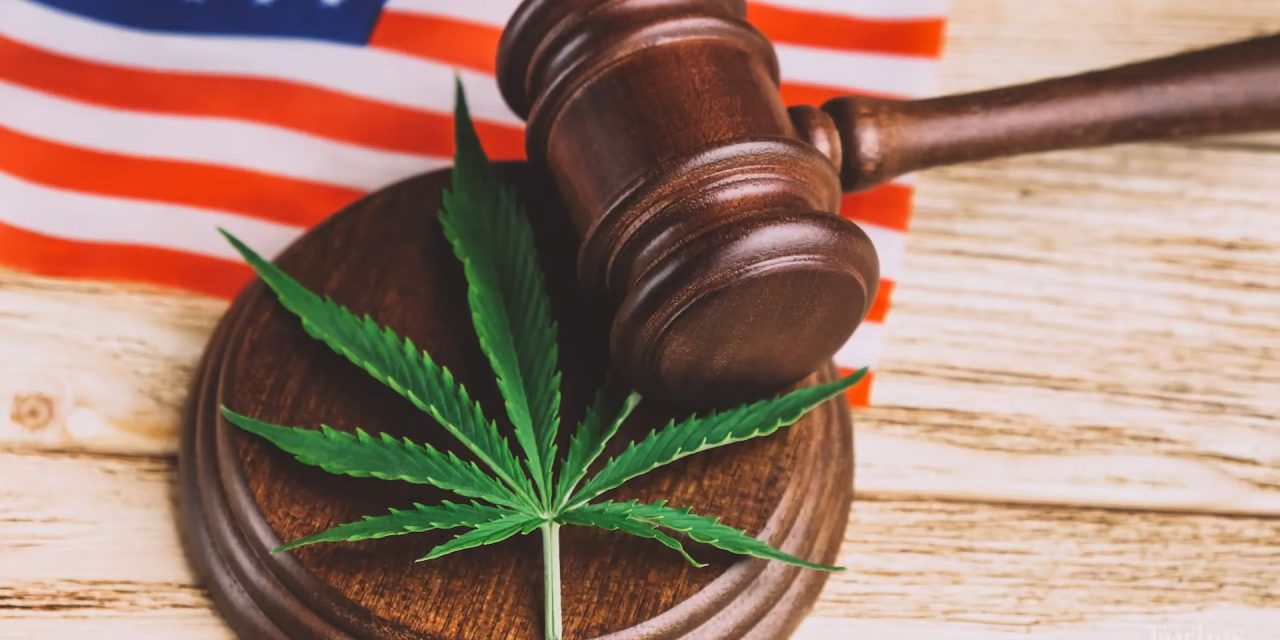 Navigating the Complex Landscape of Cannabis Laws: Federal vs. New York State