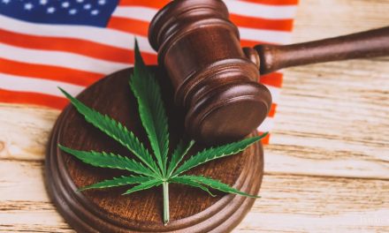 Navigating the Complex Landscape of Cannabis Laws: Federal vs. New York State